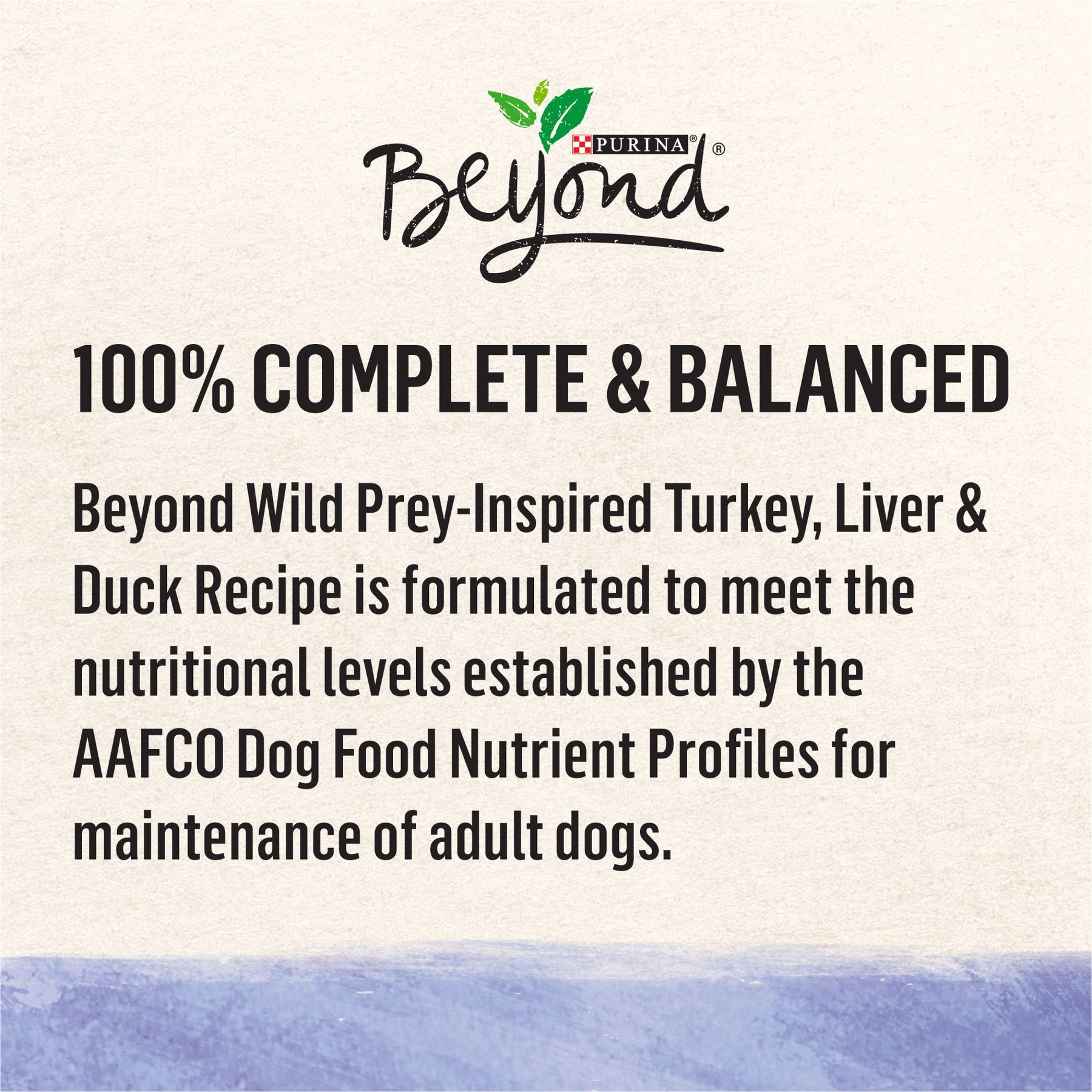 Purina Beyond Wild Prey-Inspired Grain-Free High Protein Turkey, Liver & Duck Pate Recipe Canned Dog Food