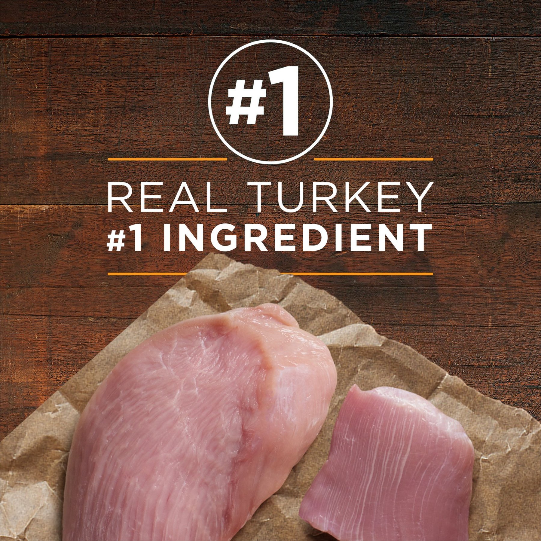 Purina ONE SmartBlend Grain-Free True Instinct Classic Ground with Real Turkey & Venison Canned Dog Food