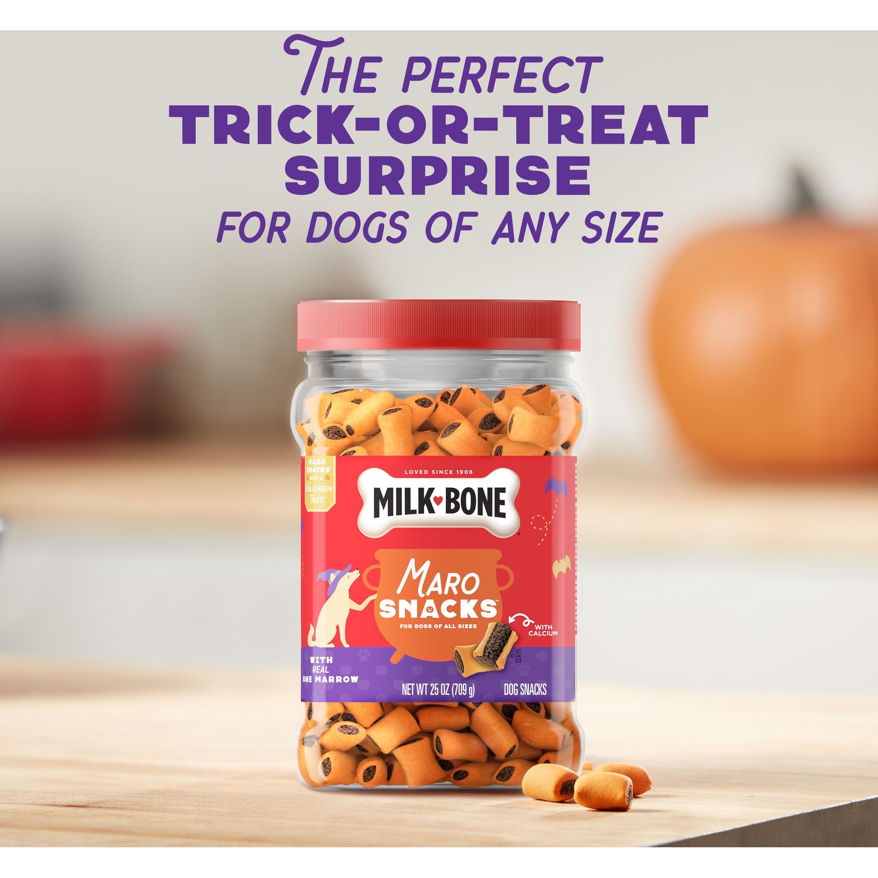 Milk-Bone Maro Snacks Halloween Dog Treats, 25-oz can