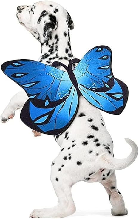 Butterfly Dog Cat,Butterfly Wings Small Large Dogs Cats,Dog Costume for Halloween