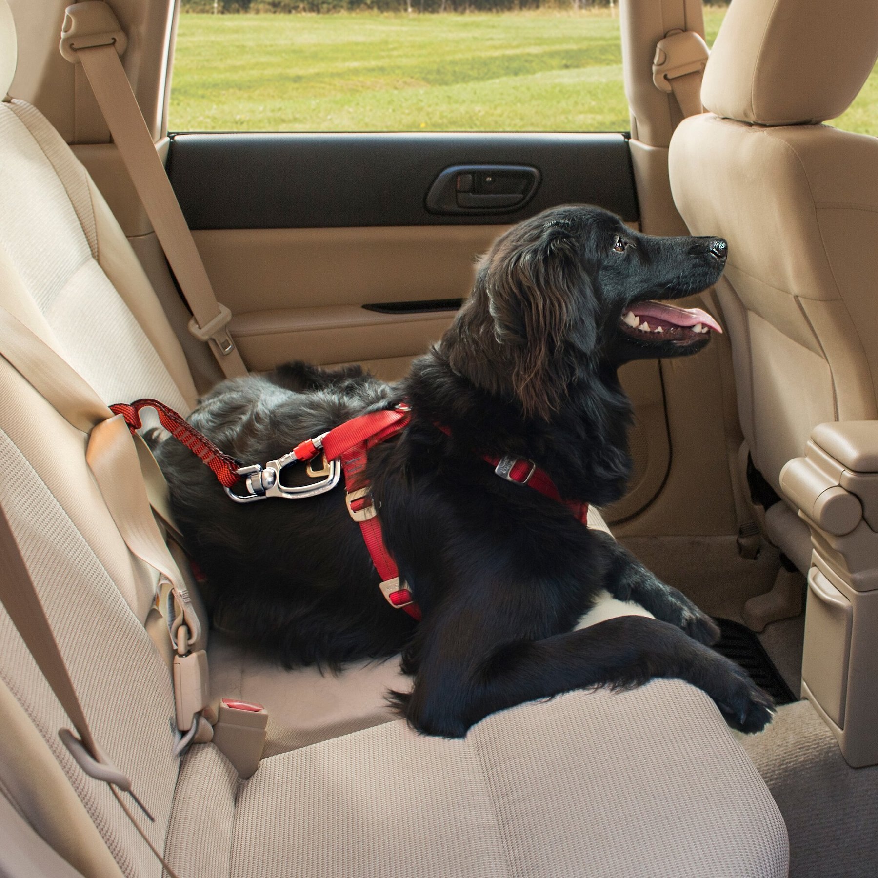 Kurgo Swivel Seat-Belt Tether