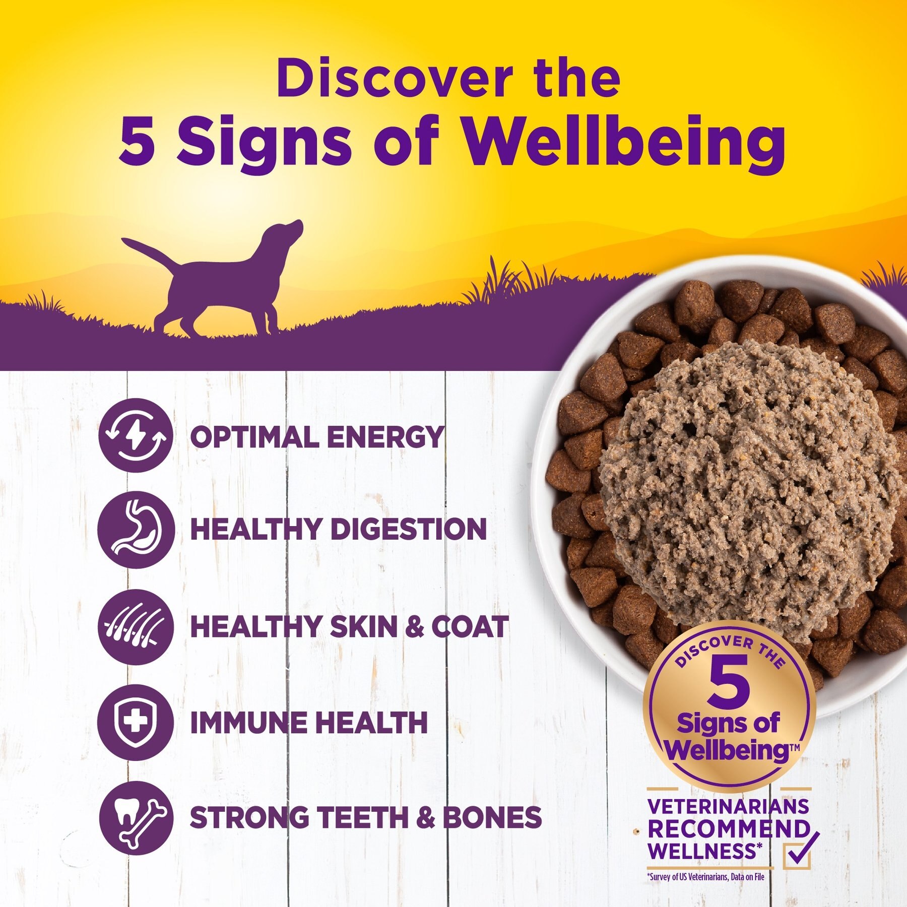 Wellness Complete Health Chicken & Sweet Potato Formula Natural Canned Dog Food