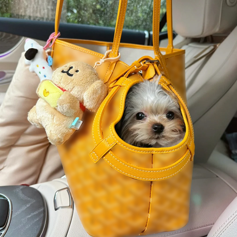 cat Luxury Large dog For Puppy Cat Handbags Tote Supplies Dog Carrier Designer Beach Bag Pet Travel Handbag Casual Free Shipping