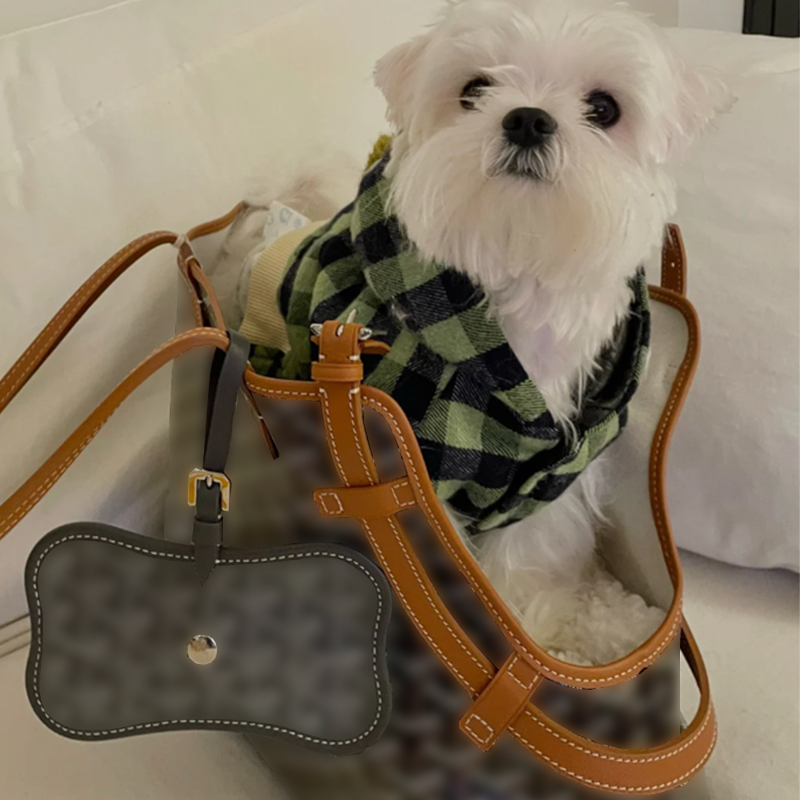 cat Luxury Large dog For Puppy Cat Handbags Tote Supplies Dog Carrier Designer Beach Bag Pet Travel Handbag Casual Free Shipping