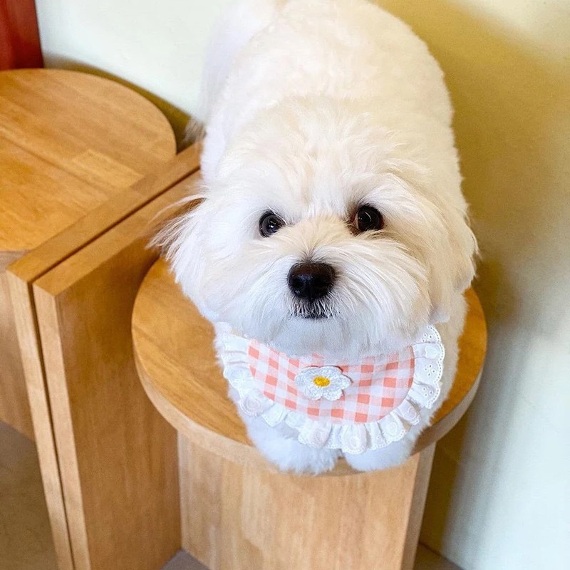 Cute Dog Cat Bibs Plaid Flower Chihuahua Pet Scarf Small Dogs Cats Collar Puppy Clothes Accessories for Teddy