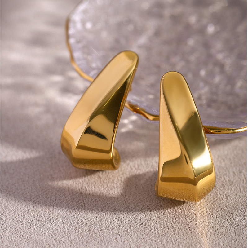 Instagram Cool Wind 18k Gold Stainless Steel Earrings for Women Geometric Curved Hook Shape Smooth Party Fashion Jewelry Free Shipping