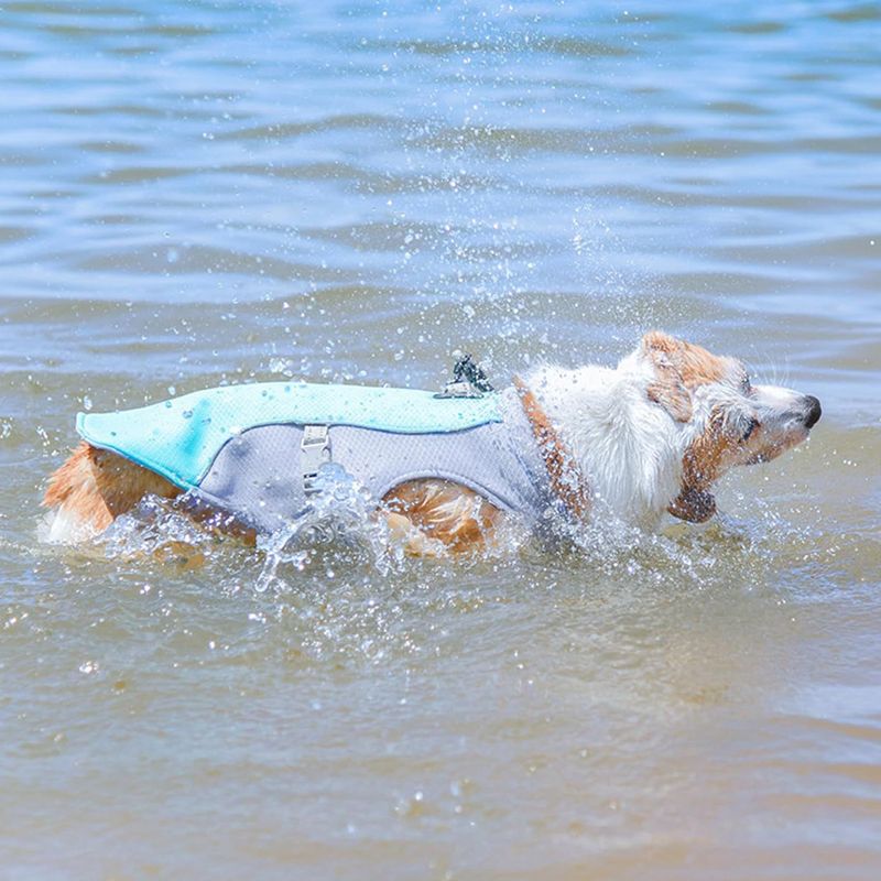 2025 new Summer Dog Cooling Vest with Reflective Straps, Quick-Release, Lightweight, for Small/Medium/Large Dogs