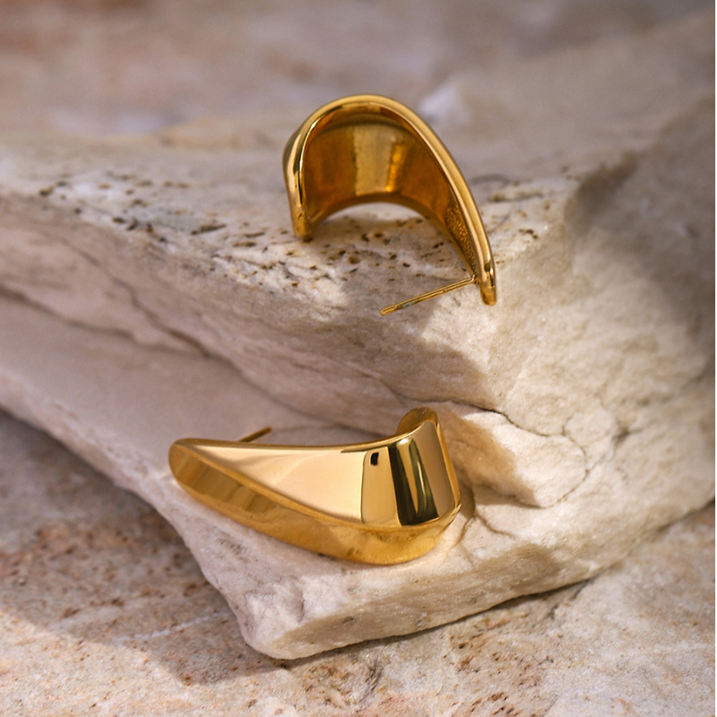 Instagram Cool Wind 18k Gold Stainless Steel Earrings for Women Geometric Curved Hook Shape Smooth Party Fashion Jewelry Free Shipping