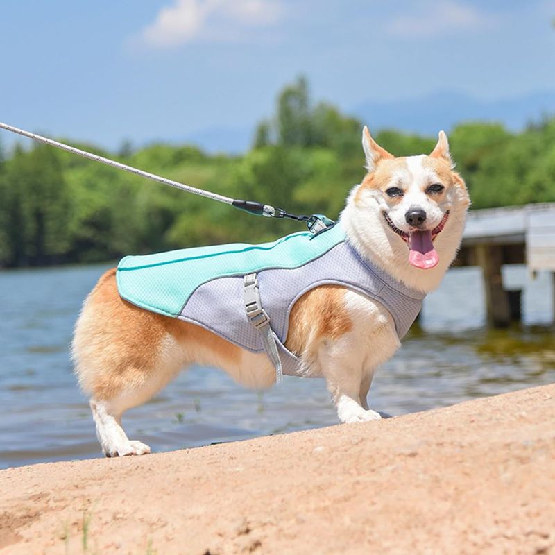 2025 new Summer Dog Cooling Vest with Reflective Straps, Quick-Release, Lightweight, for Small/Medium/Large Dogs