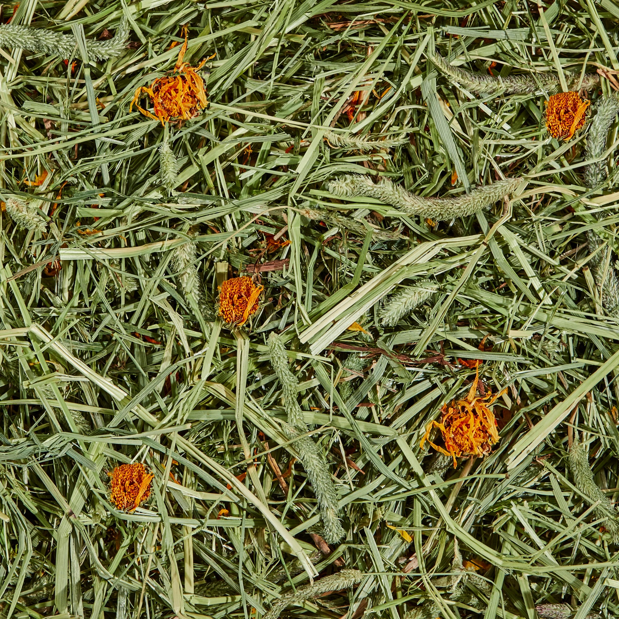 Kaytee Timothy Hay Plus With Marigolds For Rabbits & Small Animals