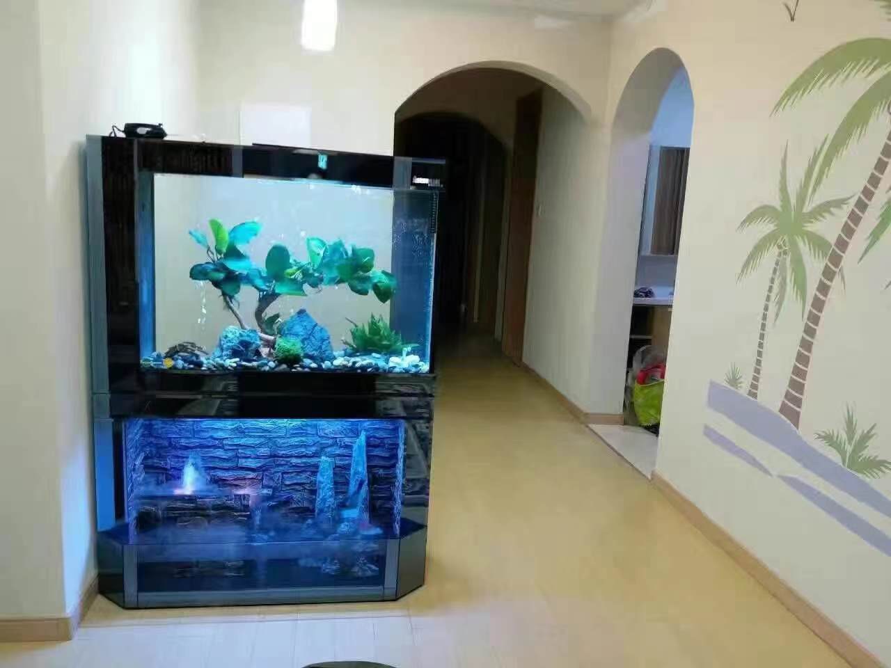 WOLIZE Vertical Door Chinese Dragon Moving Fish Transport Tank For Home Big Fish Tank