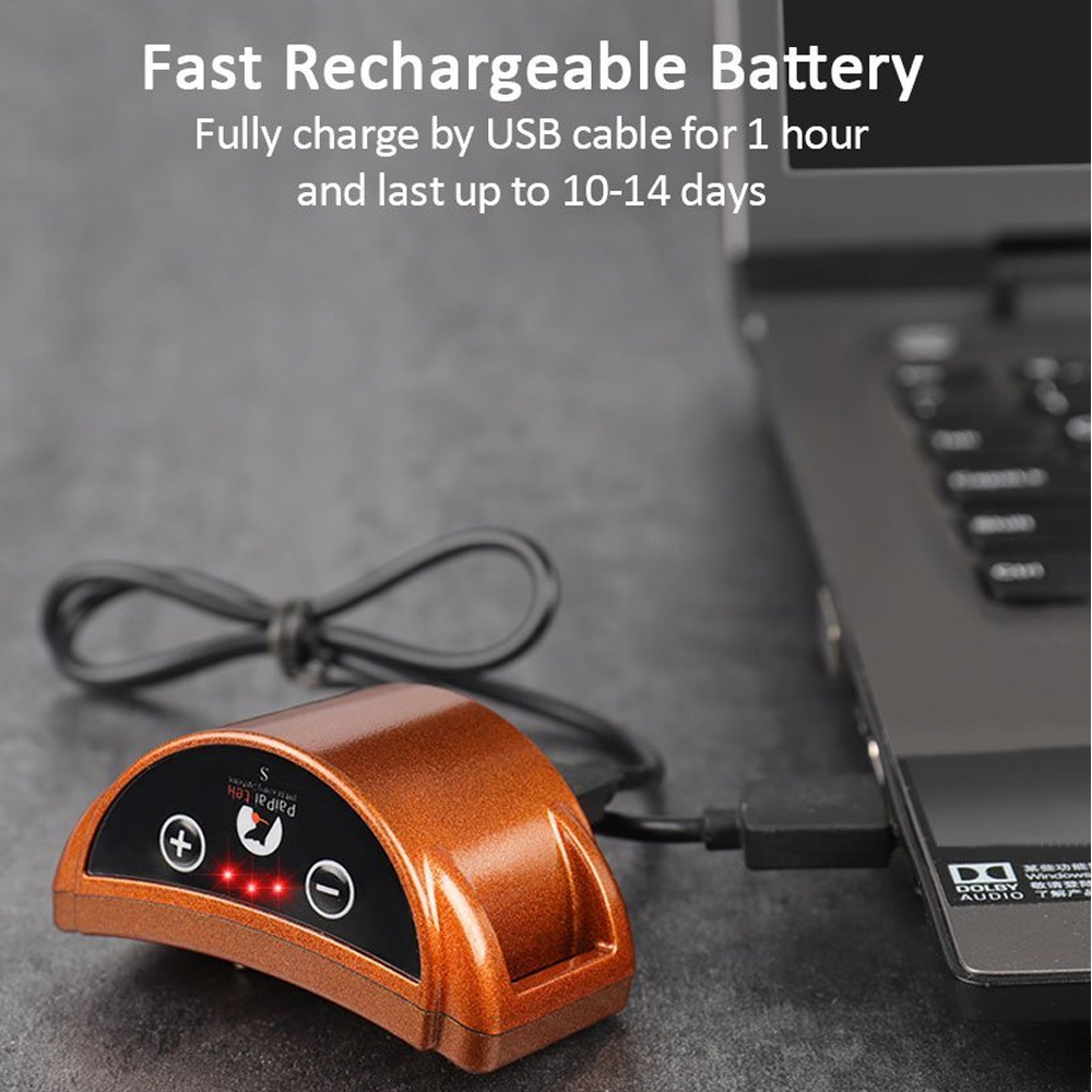 anti barking device for dogs rechargeable Pups Dog Training Collar Anti Bark Collar Stop for small Dogs