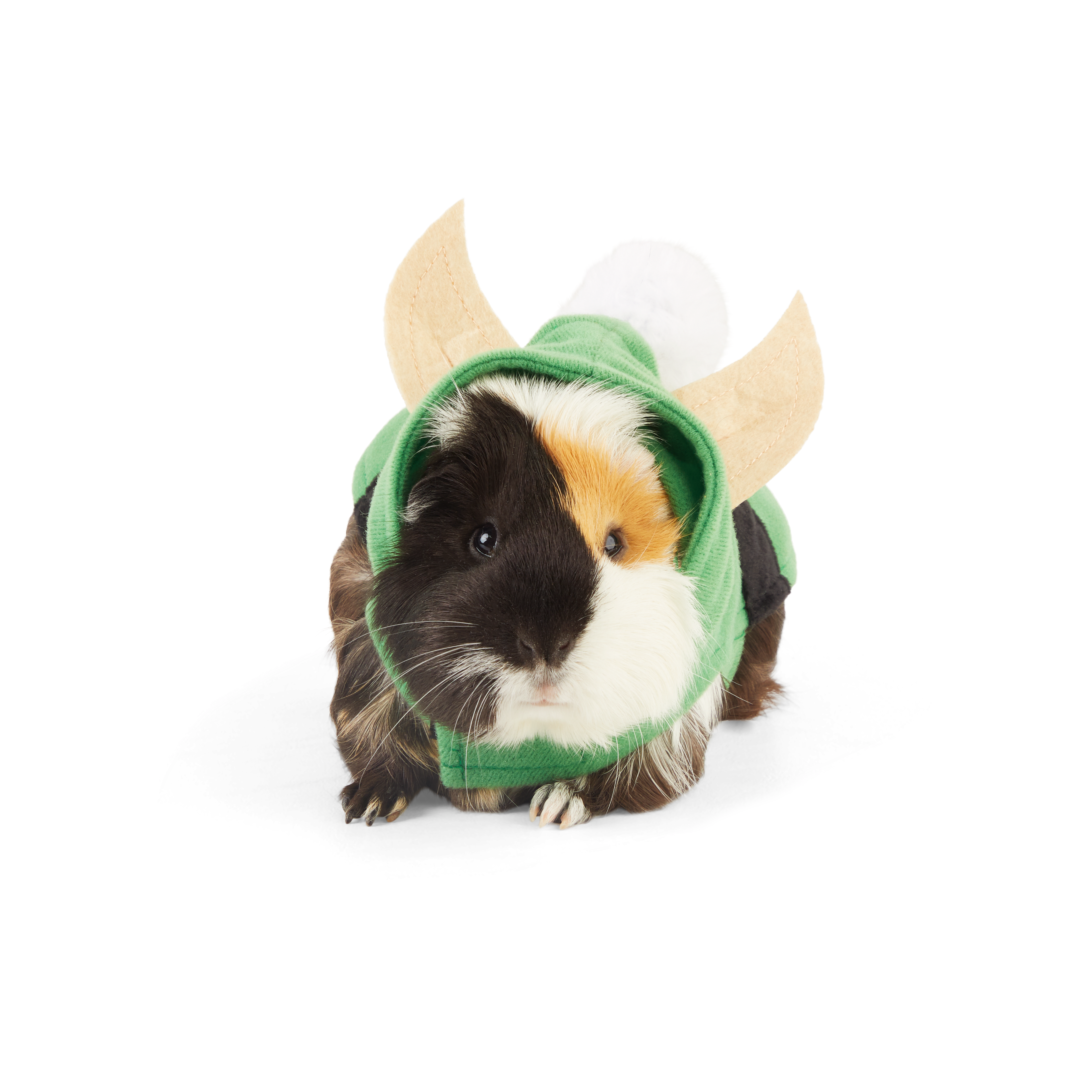 Merry Makings Elf Costume for Small Animals, Green