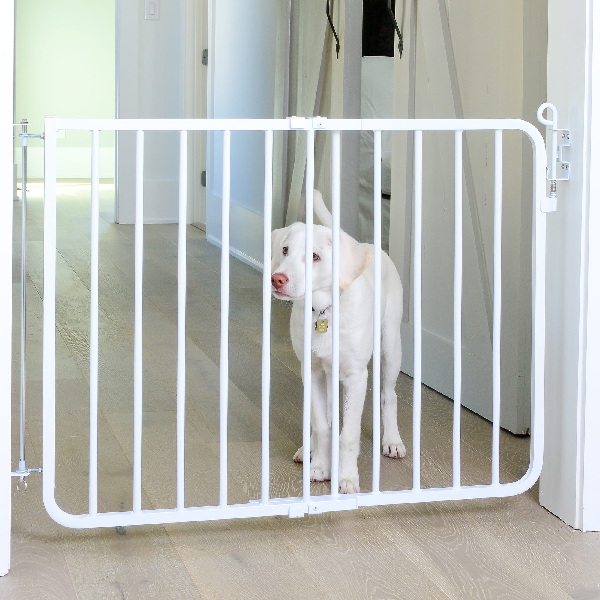 Cardinal Gates White Auto-Lock Pet Gate, 1" L X 40.5" W X 29.5" H