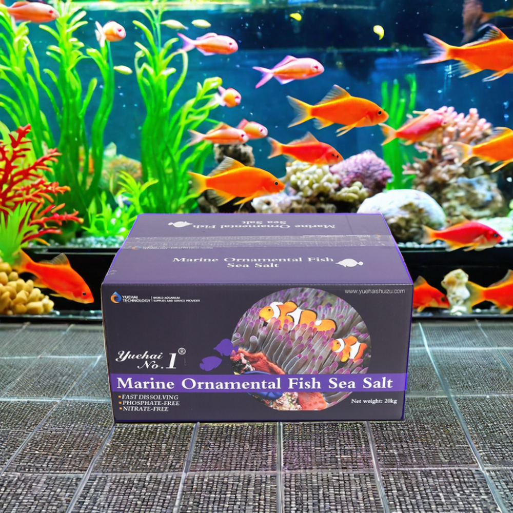 High Quality Live Tropical Fish Salt Glass Material for Marine Aquariums