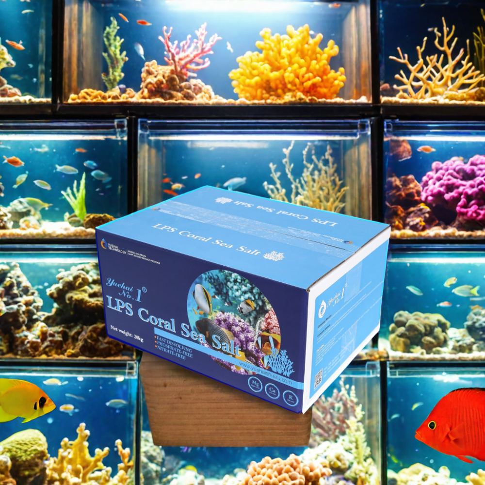 2024 Coral Fish Tank Filter Box High-Durable Plastic Professional Aquarium Reef Salt Farm Accessory