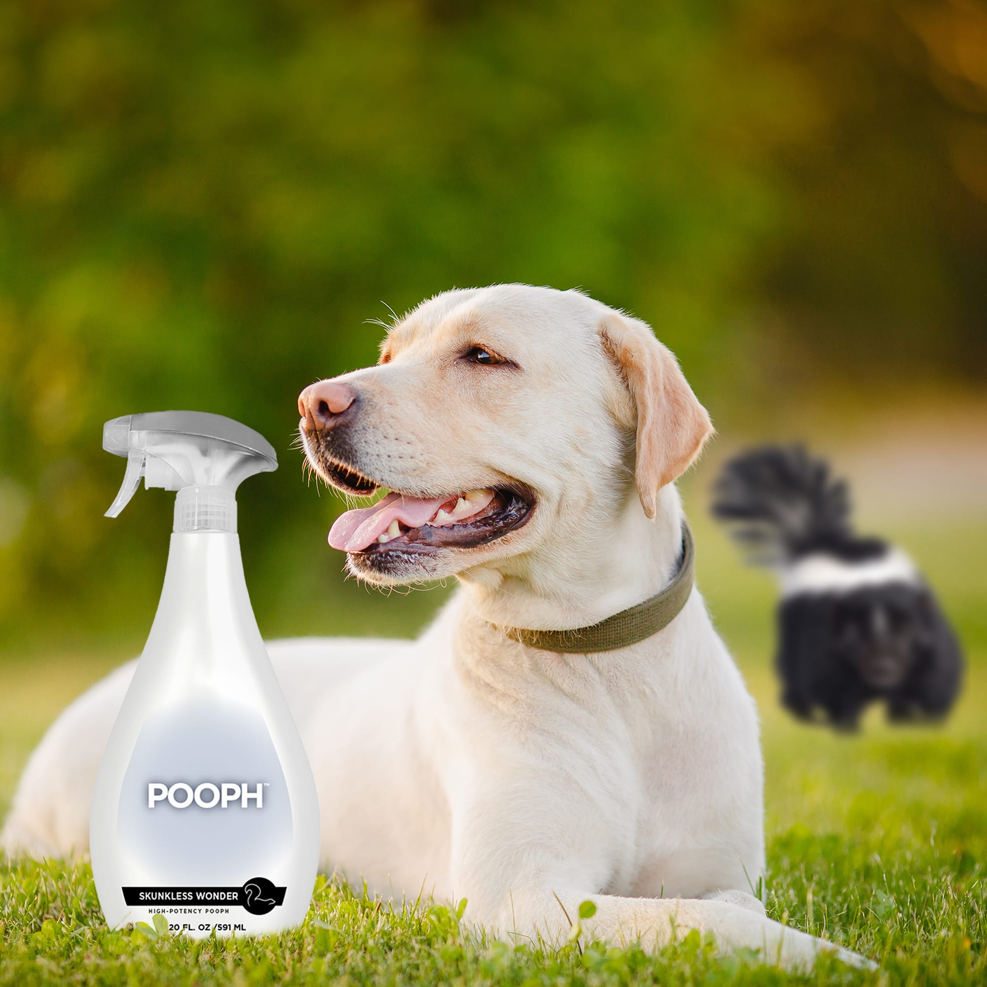 POOPH Skunkless Wonder for Dogs, 20 fl. oz.