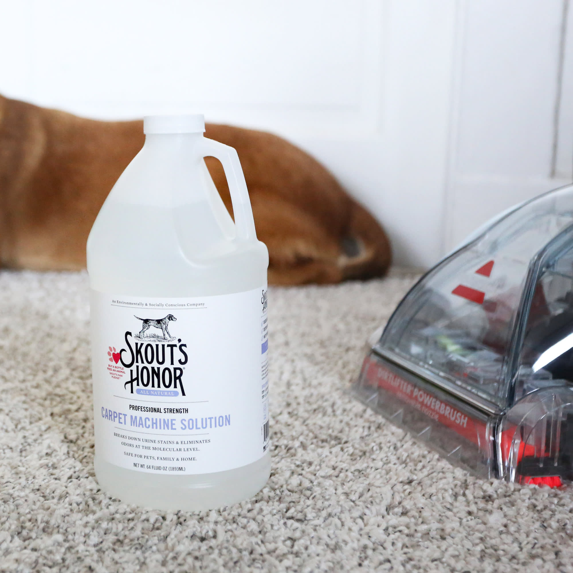 Skout's Honor Carpet Machine Solution for Dogs, 64 fl. oz.