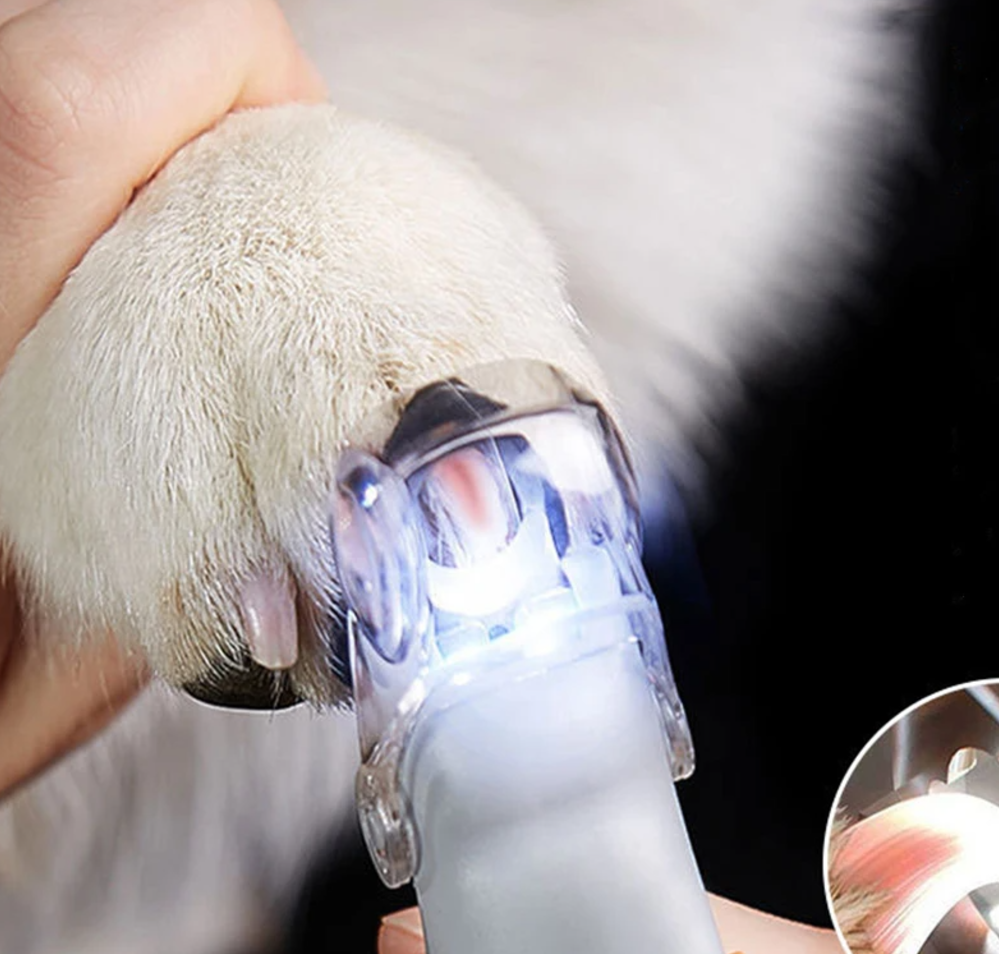 New Professional Clipper With LED Light Cat Dog Clippers Tool Nail Toeclaw Cutter Scissors Pet Suppl