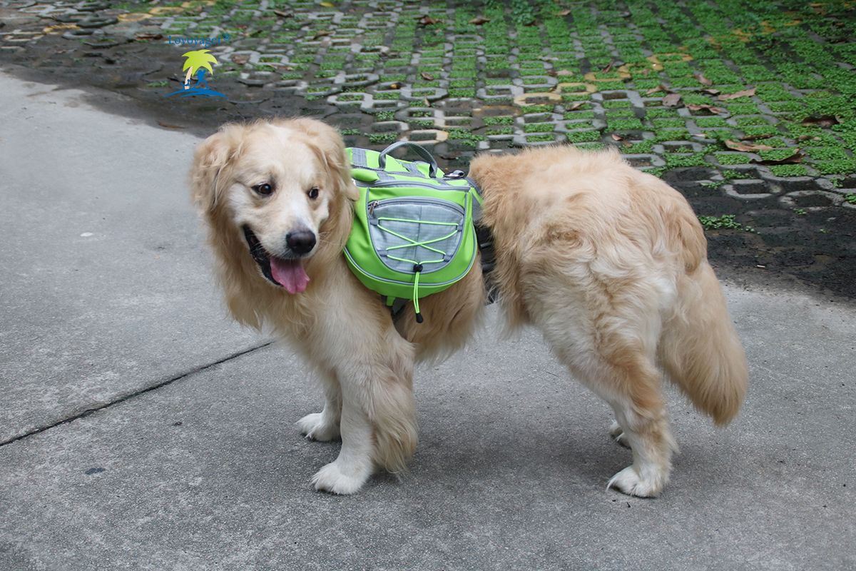 Free Shipping Outdoor Adjustable Pet Carriers Dog Backpack saddle Bag With Reflective Strip For Travel Hiking
