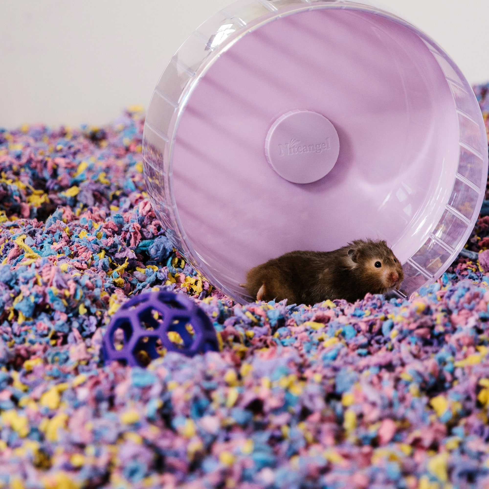 Carefresh Confetti Small Pet Bedding, 23 Liter