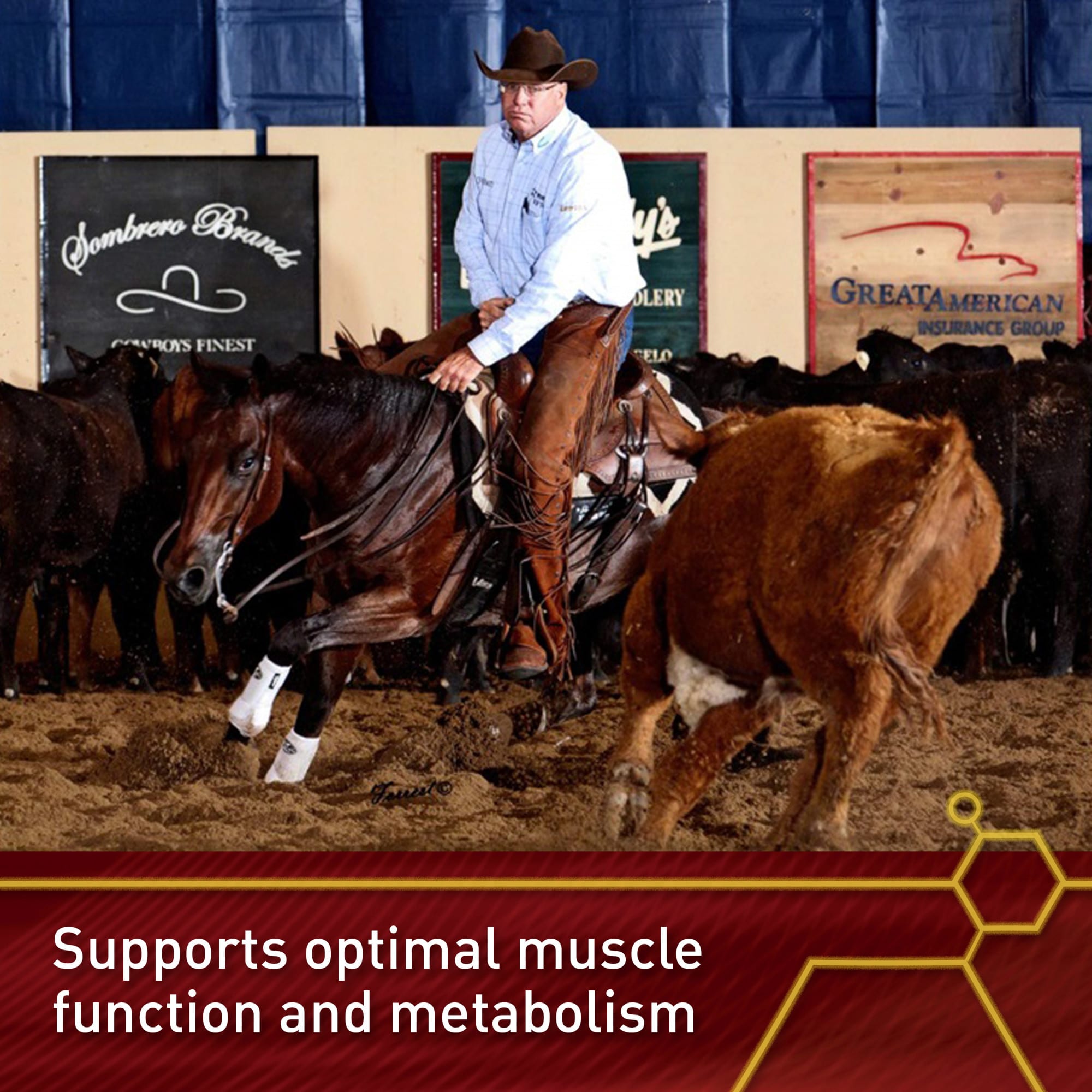 Vita Flex Lactanase Performance Supplement for Horses, 25 Gram, Count of 12