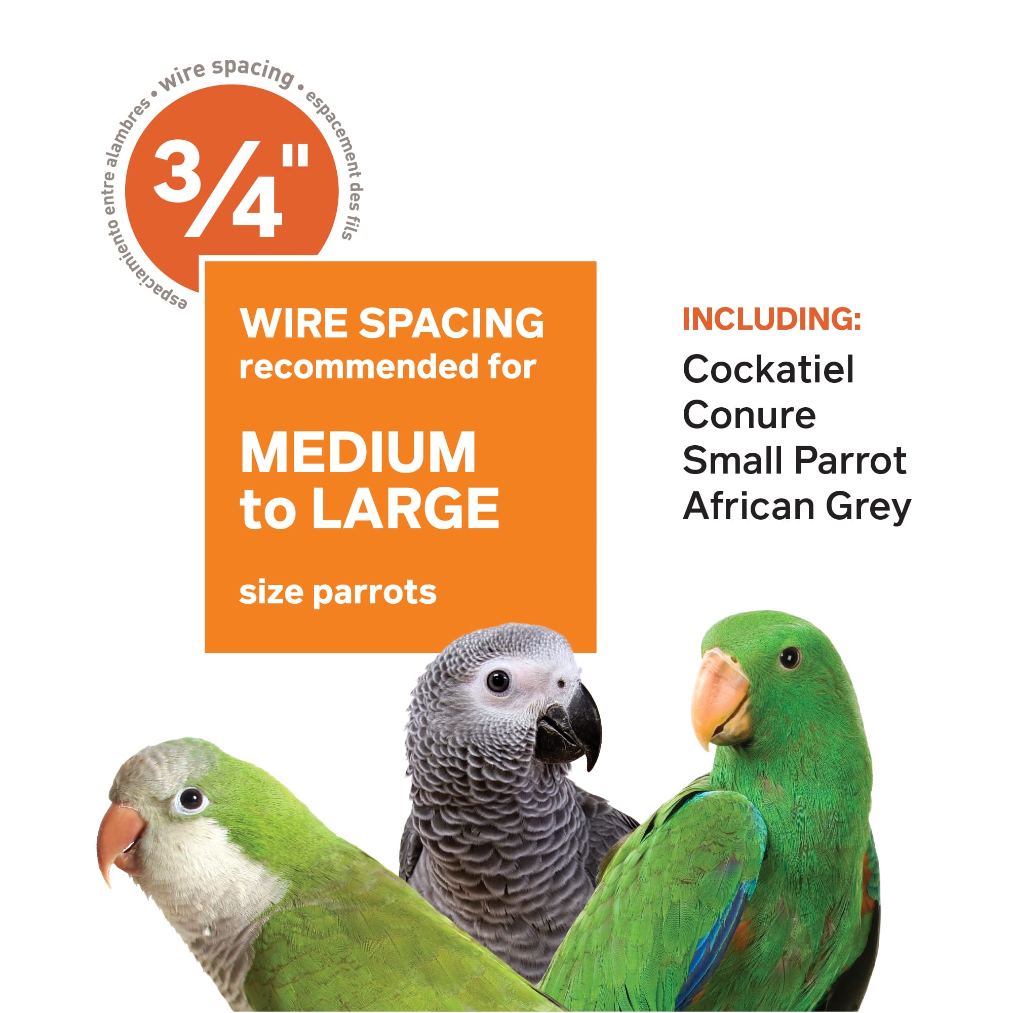 Prevue Pet Products Signature Select Series Wrought Iron Bird Cage in Sage