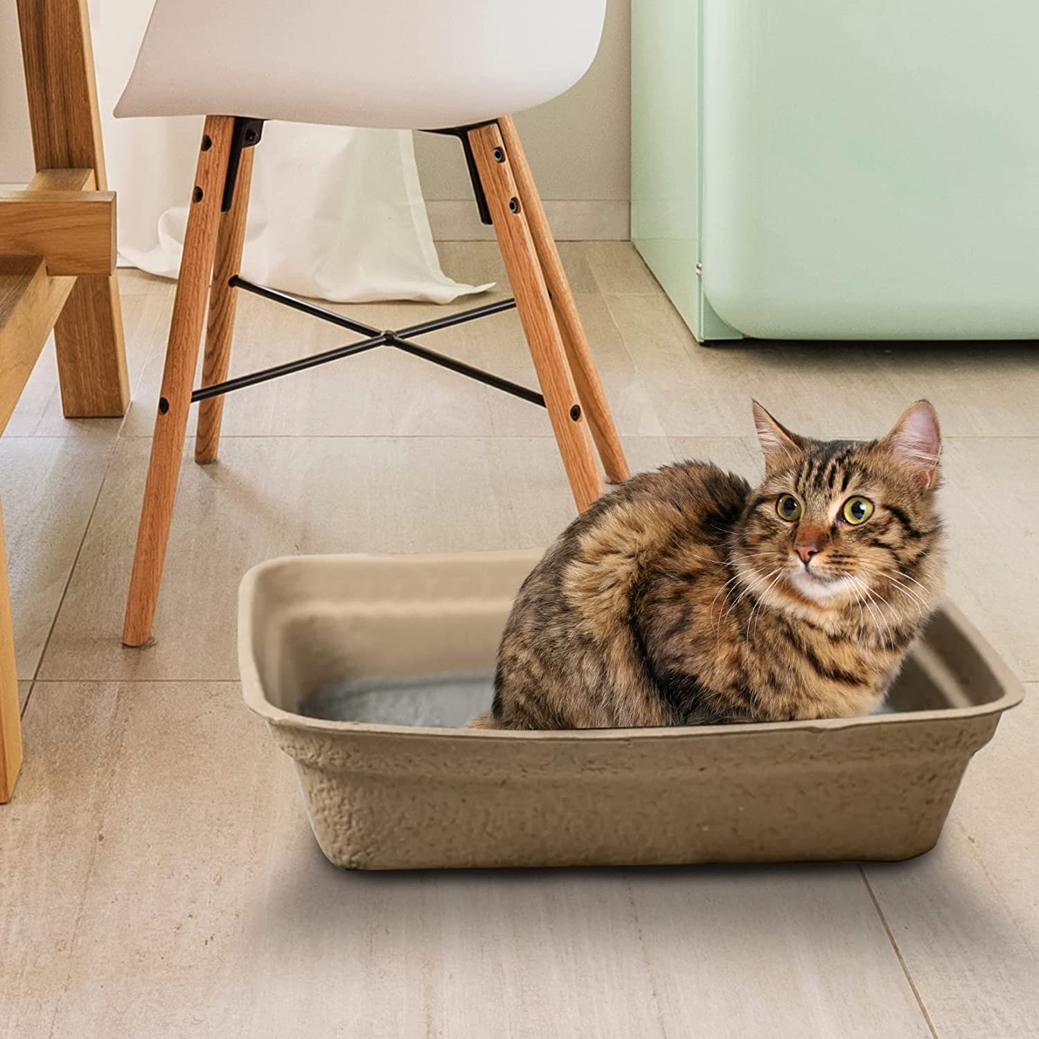 Paper Pet Litter Pan Disposable for Cats Portable Litter Liners Box Disposable Cat Litter Box Indoor Outdoor Travel Large