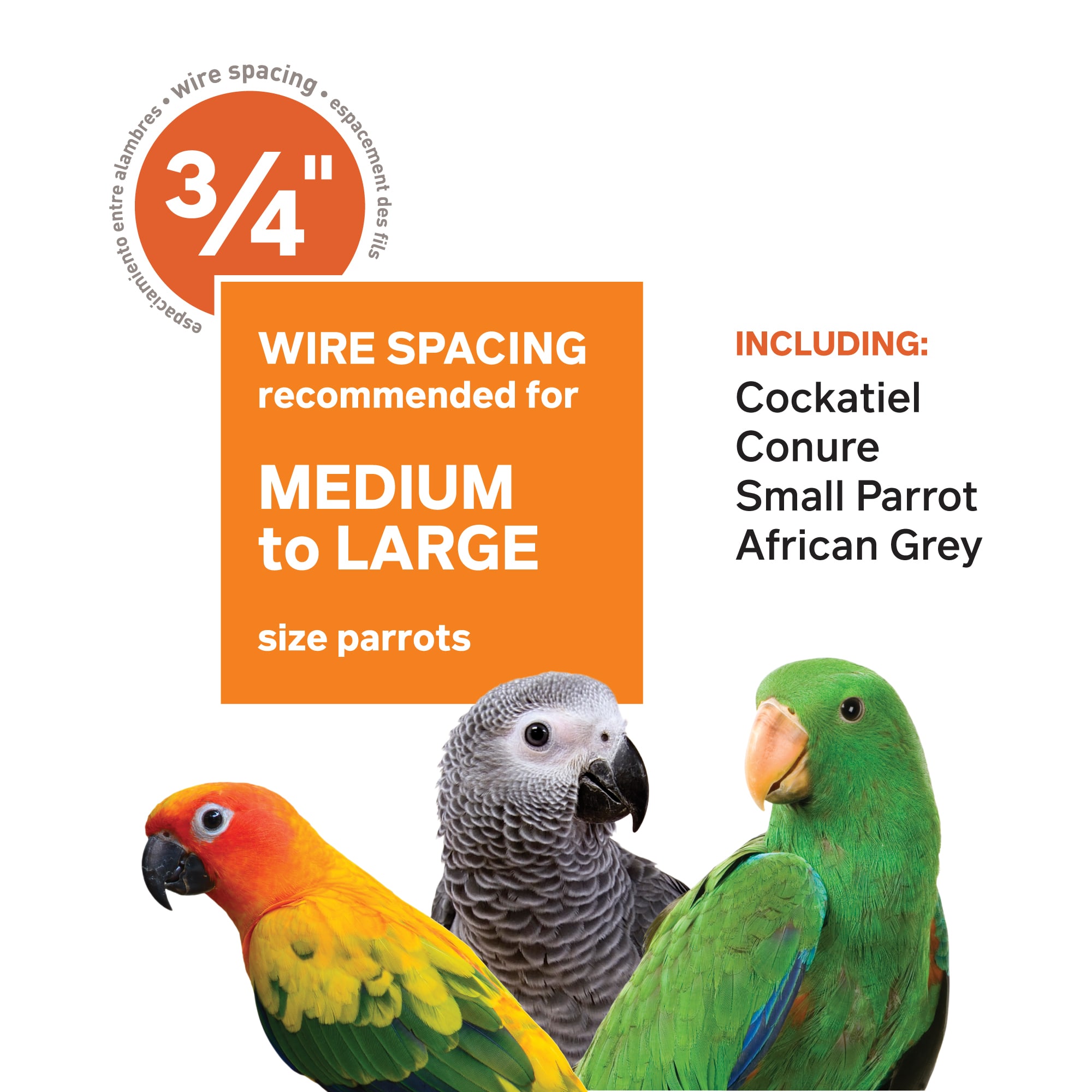 Prevue Pet Products Signature Select Series Wrought Iron Bird Cage in Pewter