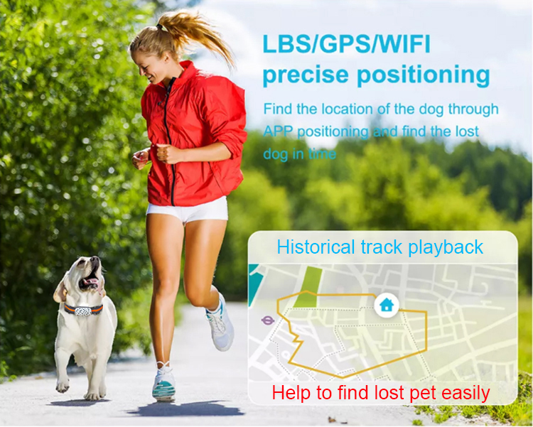 Wholesales 4G GPS Pet Locator WiFi Location Dog Cat Locator Smart Pet Tracker Loss Prevention Accessories Supplies