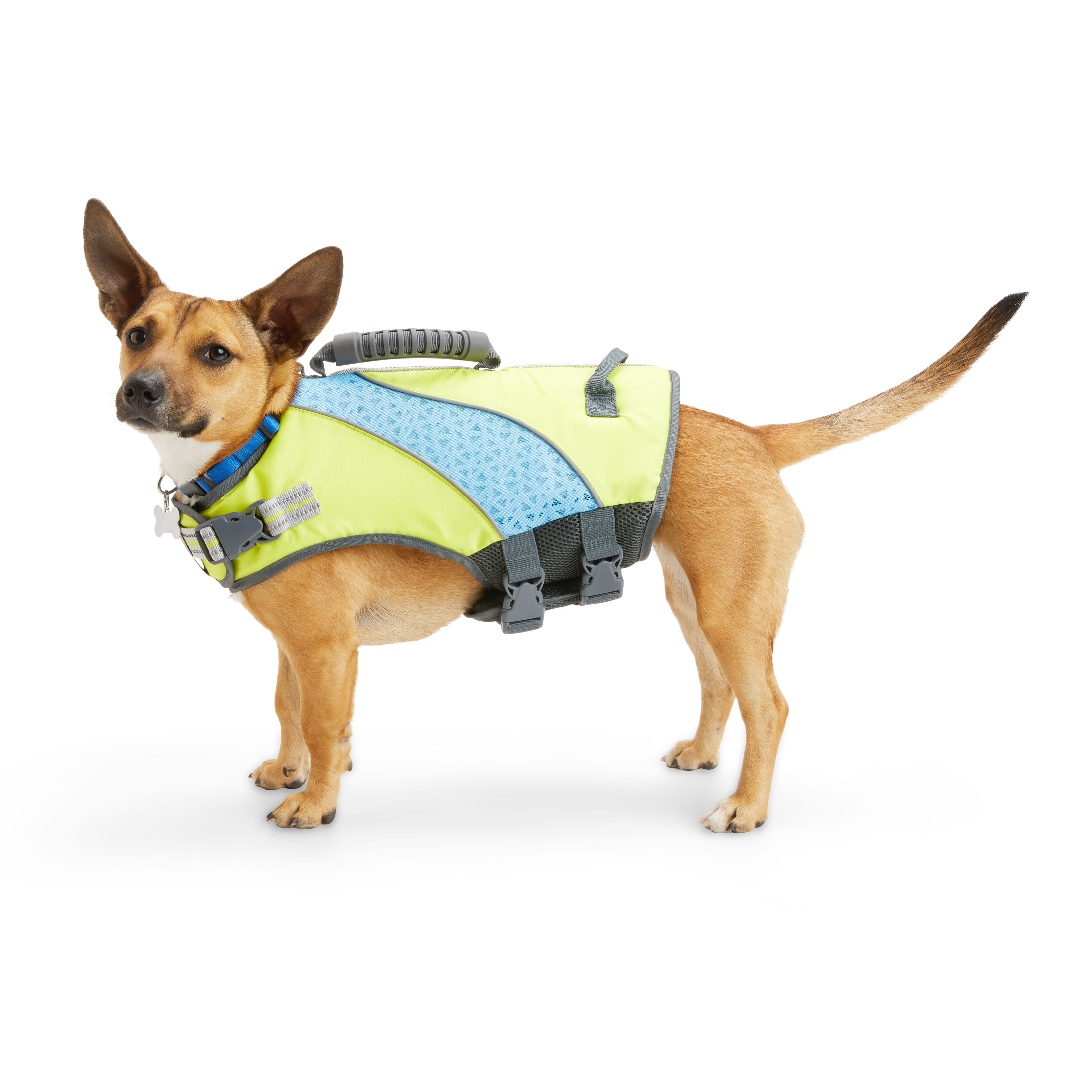 YOULY The Beach Bum Ultimate Dog Flotation Vest, X-Small