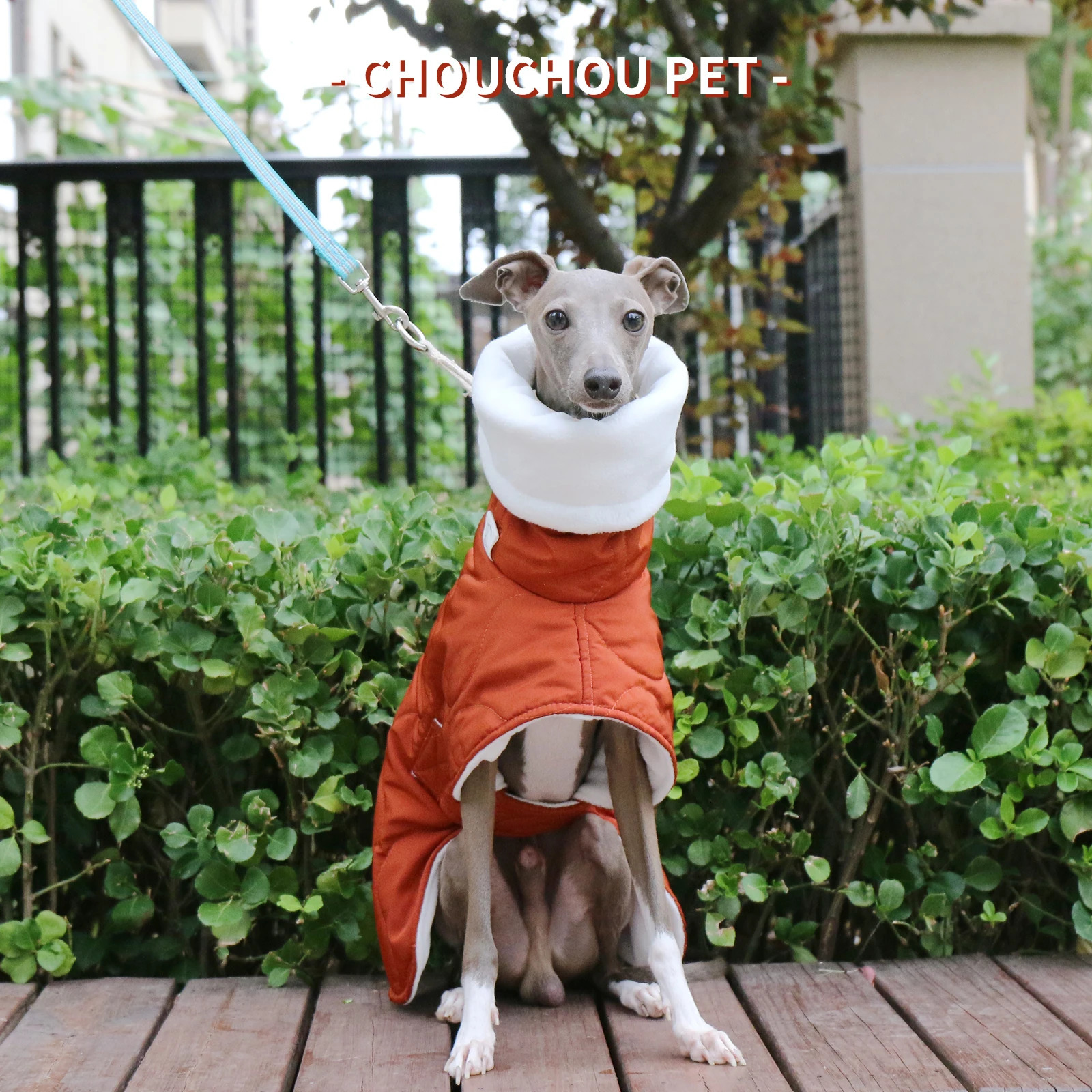 Winter Dog Outer orange Quilted Turtle Collar Dog Coat Warm Italian Greyhound Adjustable Cotton Whippet 241125