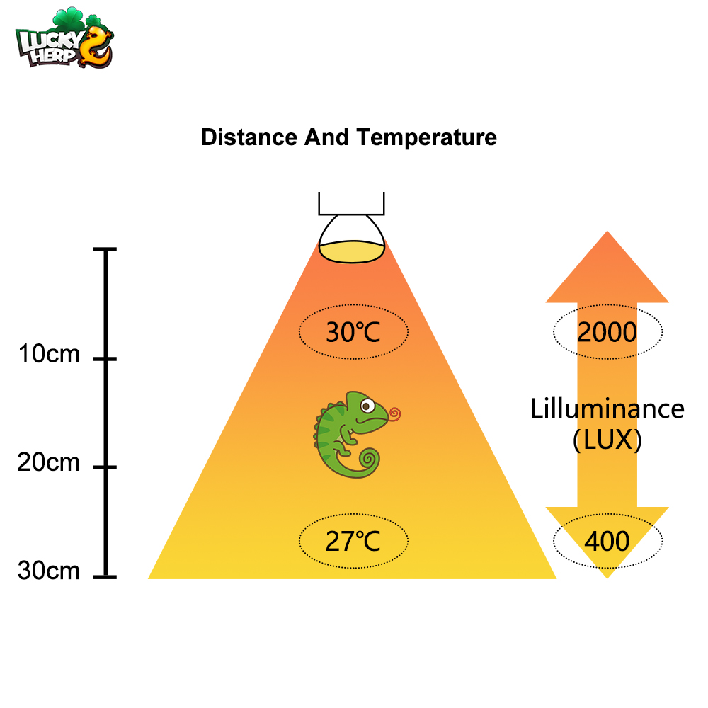 Lucky herp Factory price 25w 50w 75w 100w basking bulb heating lamp for reptile with CE ROHS