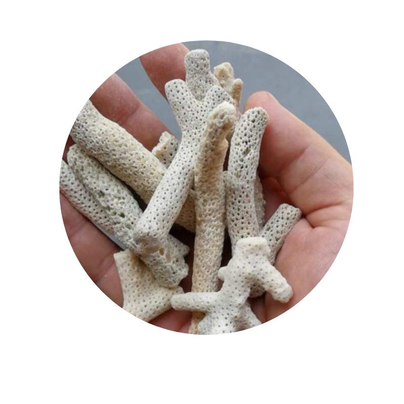 philippines coral sand for aquariums Fly off the shelves taiwan coral sand Complete specifications sand frag plug coral