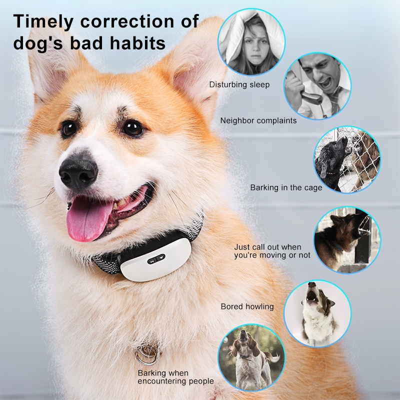 Waterproof Color ScreenStop Barking Anti Bark Dog Collar home E-Collar Dog Training Affordable