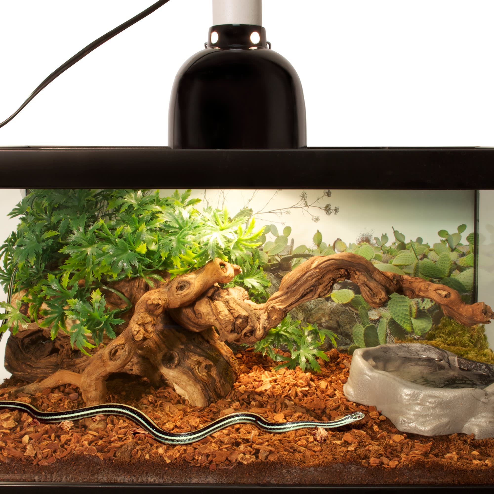 Zoo Med Premium Repti Bark