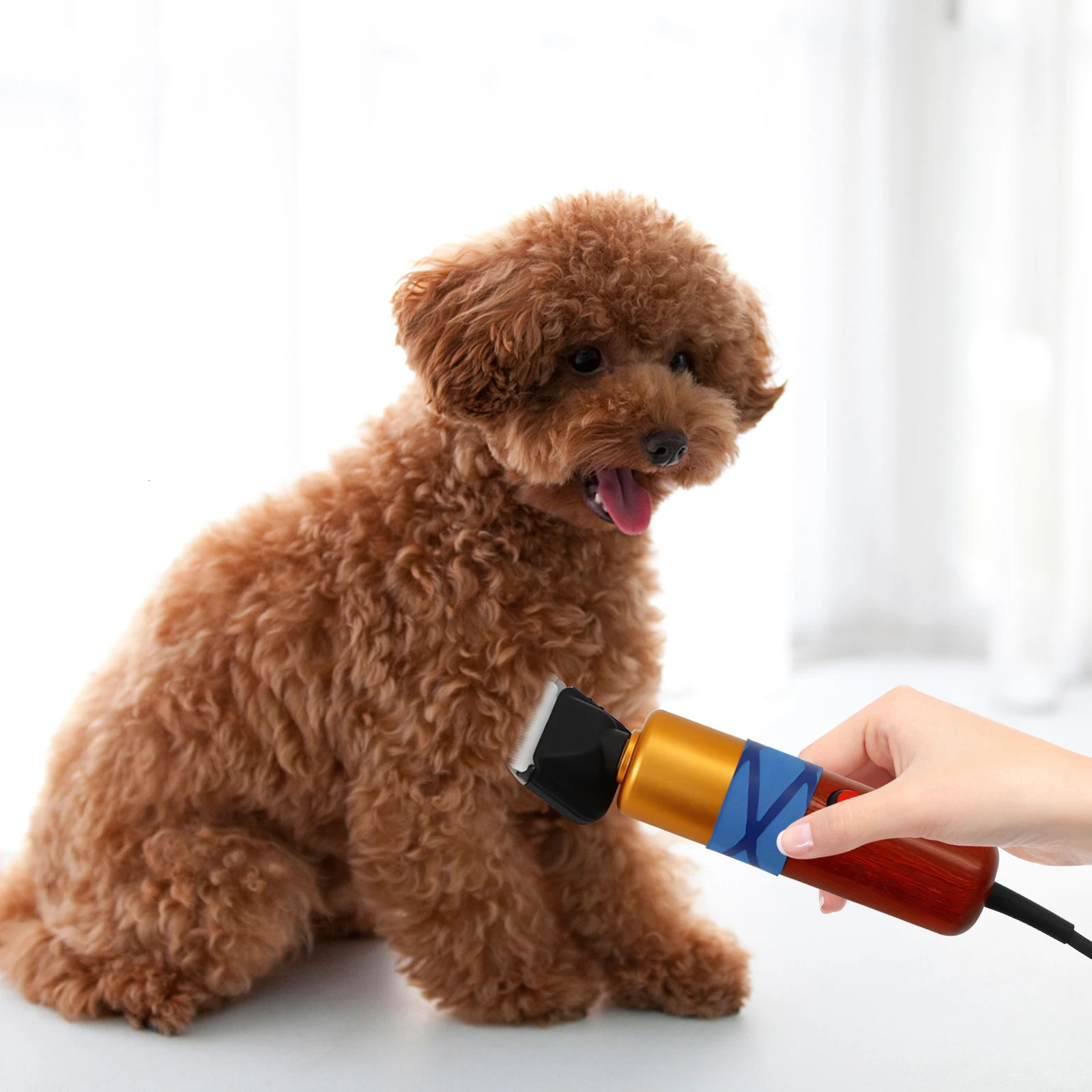 Pet Hair Clipper Low Noise High-efficiency Professional Electric Variable Speed Hair Shearing For Sheep Dogs Cats Pet 241125