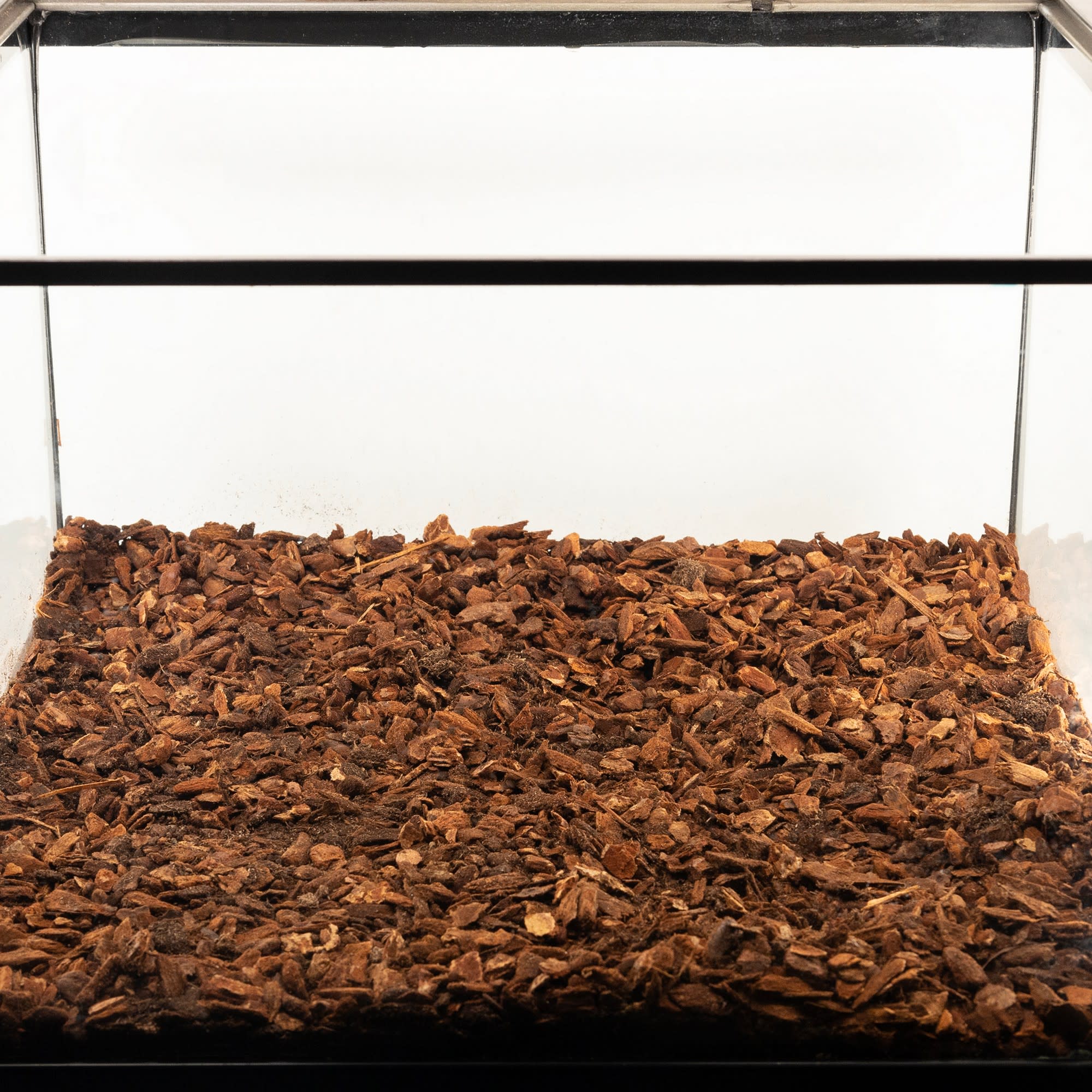 Zoo Med Premium Repti Bark