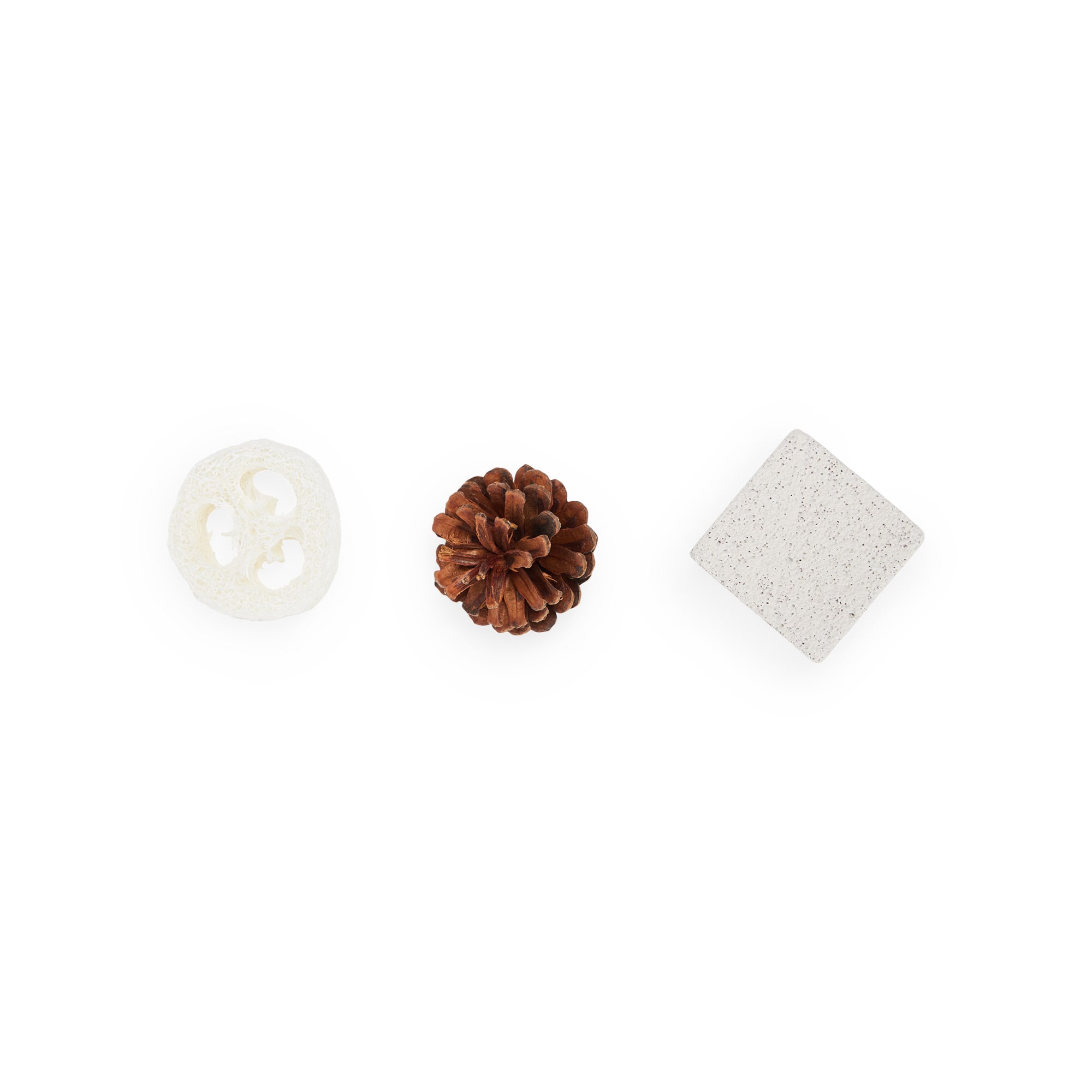 EveryYay Toy Bundle for Small Animals