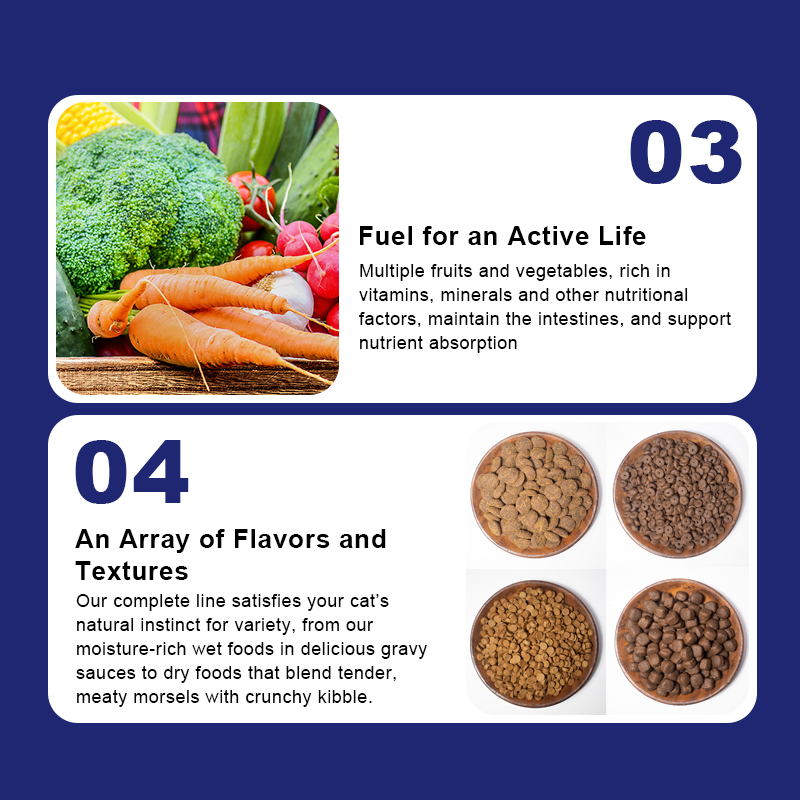 Explosive Models All Life Stage Dry Food for Cats Aafco Requirements Compliant