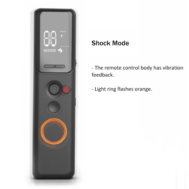 Rechargeable Waterproof Electric Dog Training Collar 3 Training Mode Beep Vibrating Shock No Bark Dog Shock Collar with Remote