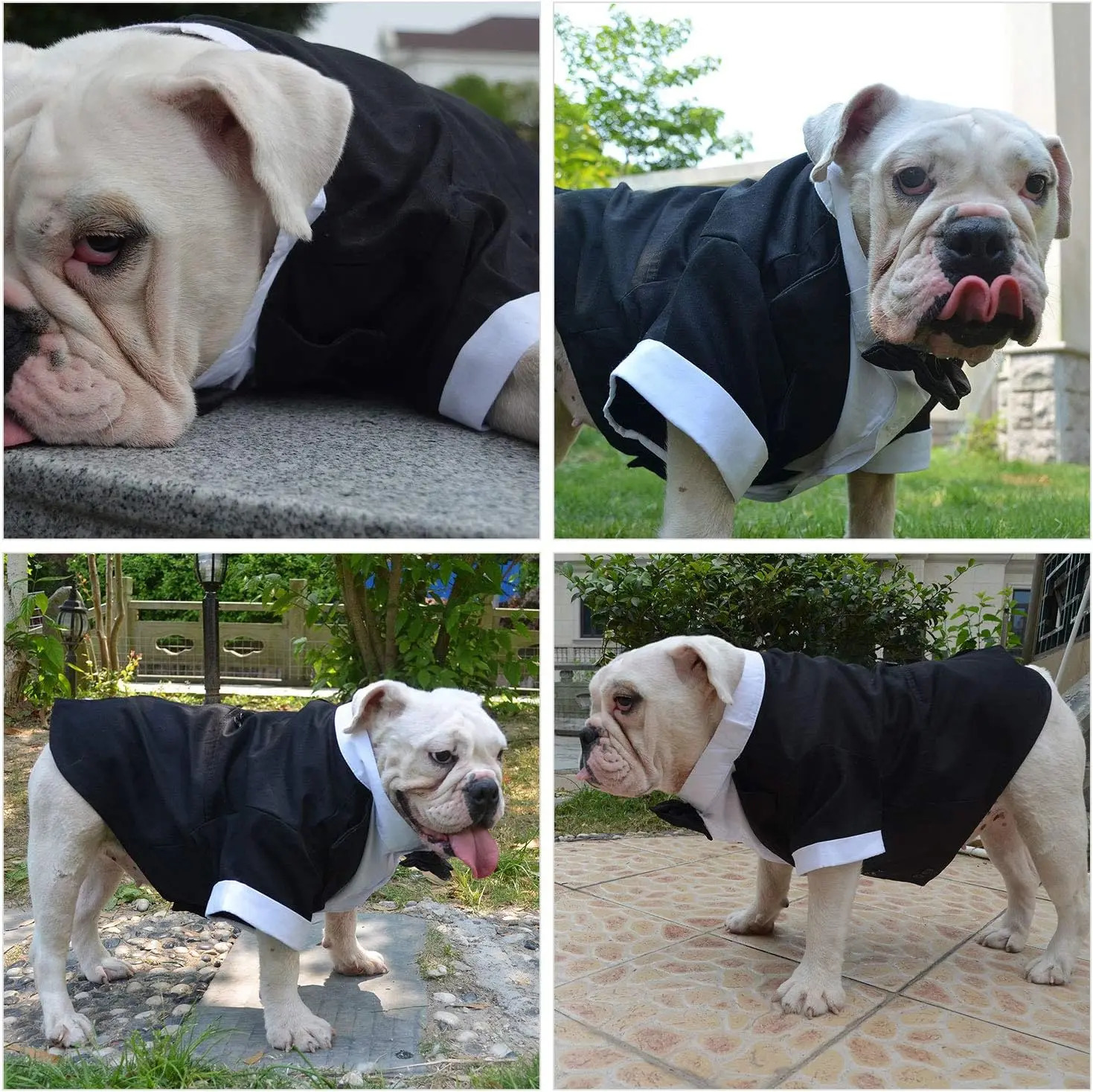Formal Tuxedo Suit with Black Bow Tie for Dogs Pet Costume Wedding Clothes Large Medium Small Dogs Cat 241125