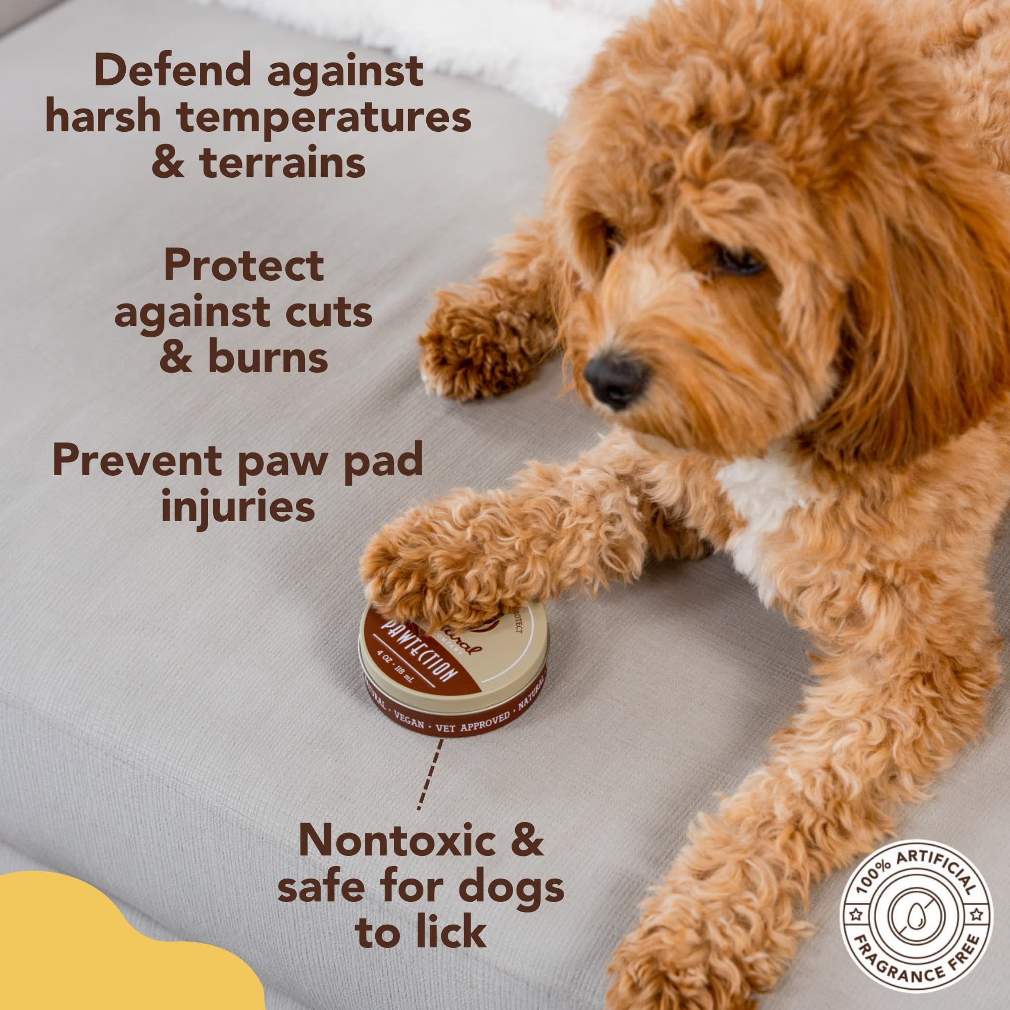 Natural Dog Company Paw Protection Balm Tin for Dogs, 2 oz.