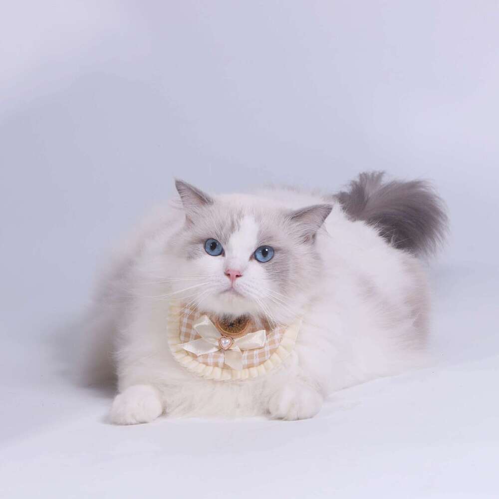 Ins style Korean towel, cat collar, scarf, small dog bib, pet plaid drool towel