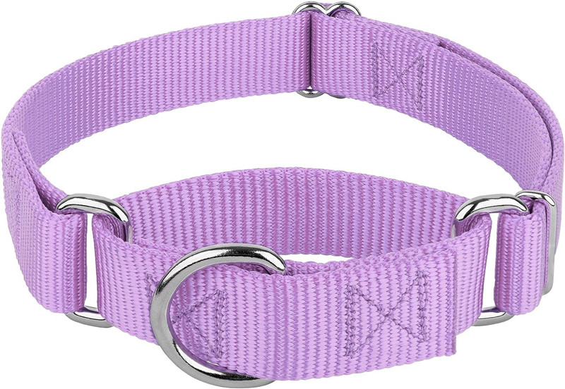 Wholesale China Pet Collars Adjustable Nylon Heavy Duty Martingale Dog Collar For Dogs walking jogging training