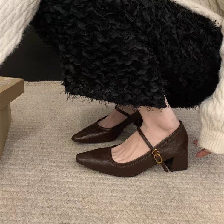 High heeled Mary Jane shoes with pointed toe and shallow mouth, spring 2024 new thick heels, French style with skirt temperament, single shoes for wom