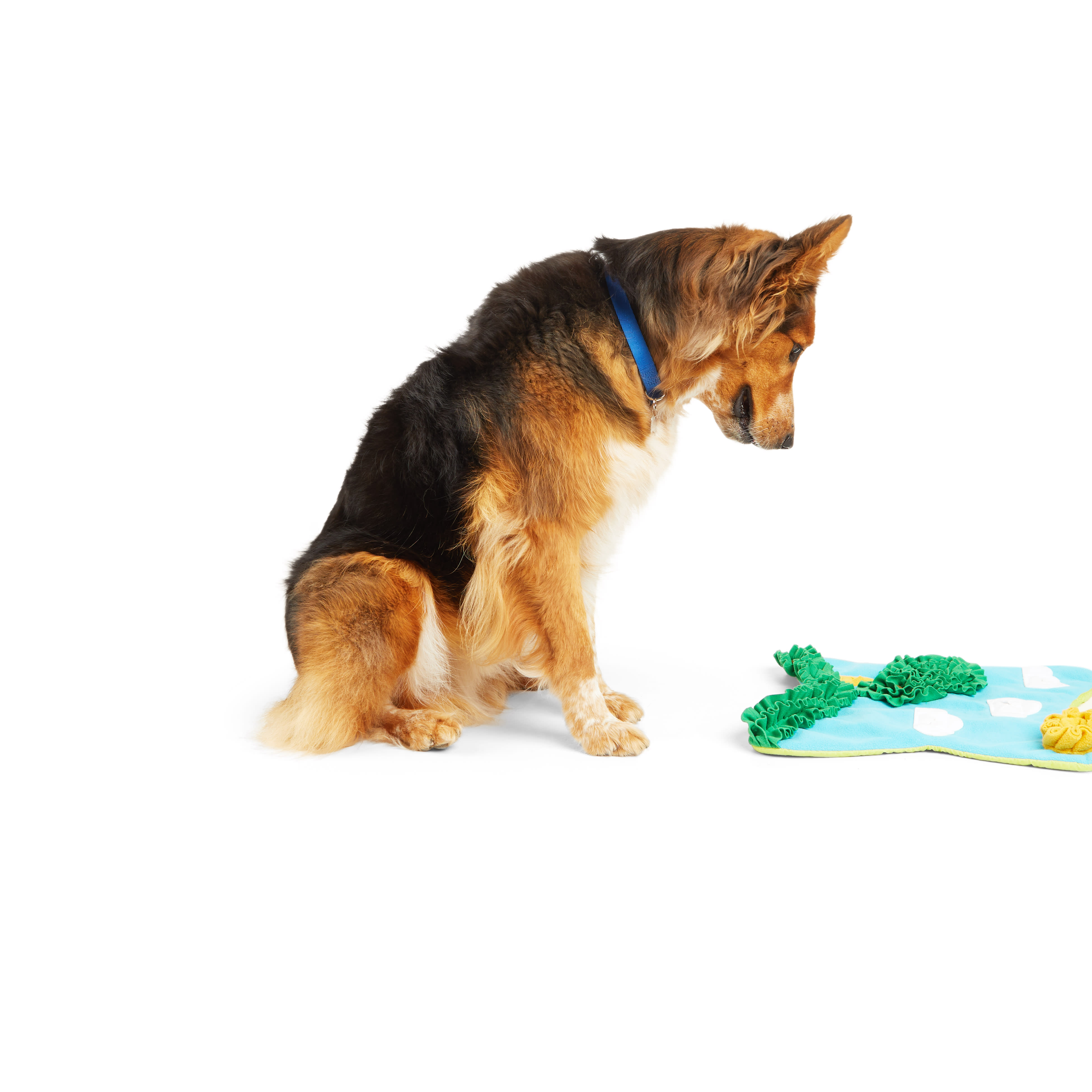 Leaps & Bounds Snuffle Mat Dog Toy, Large