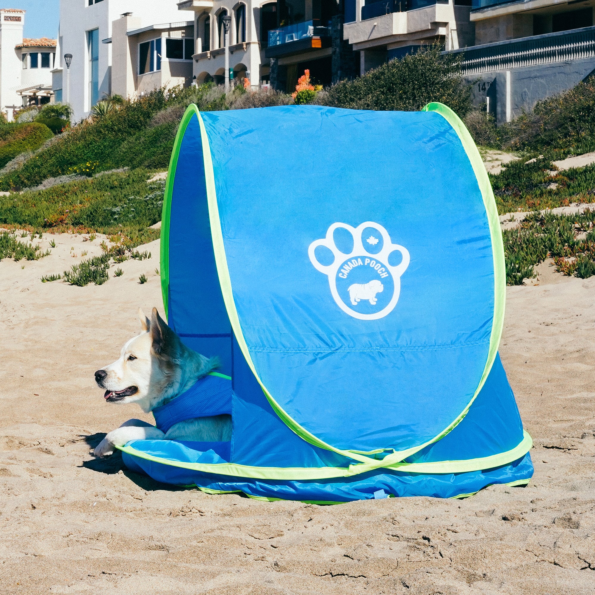 Canada Pooch Blue Chill Seeker Cooling Station with Splash Pad for Dogs, 47.25" L X 39" W X 32" H