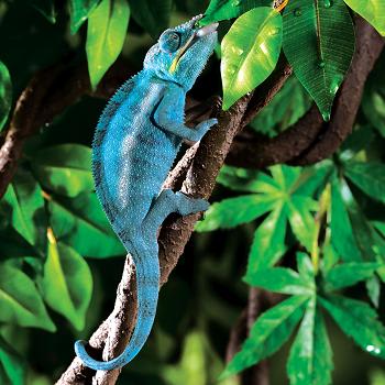 ExoTerra Jungle Vine