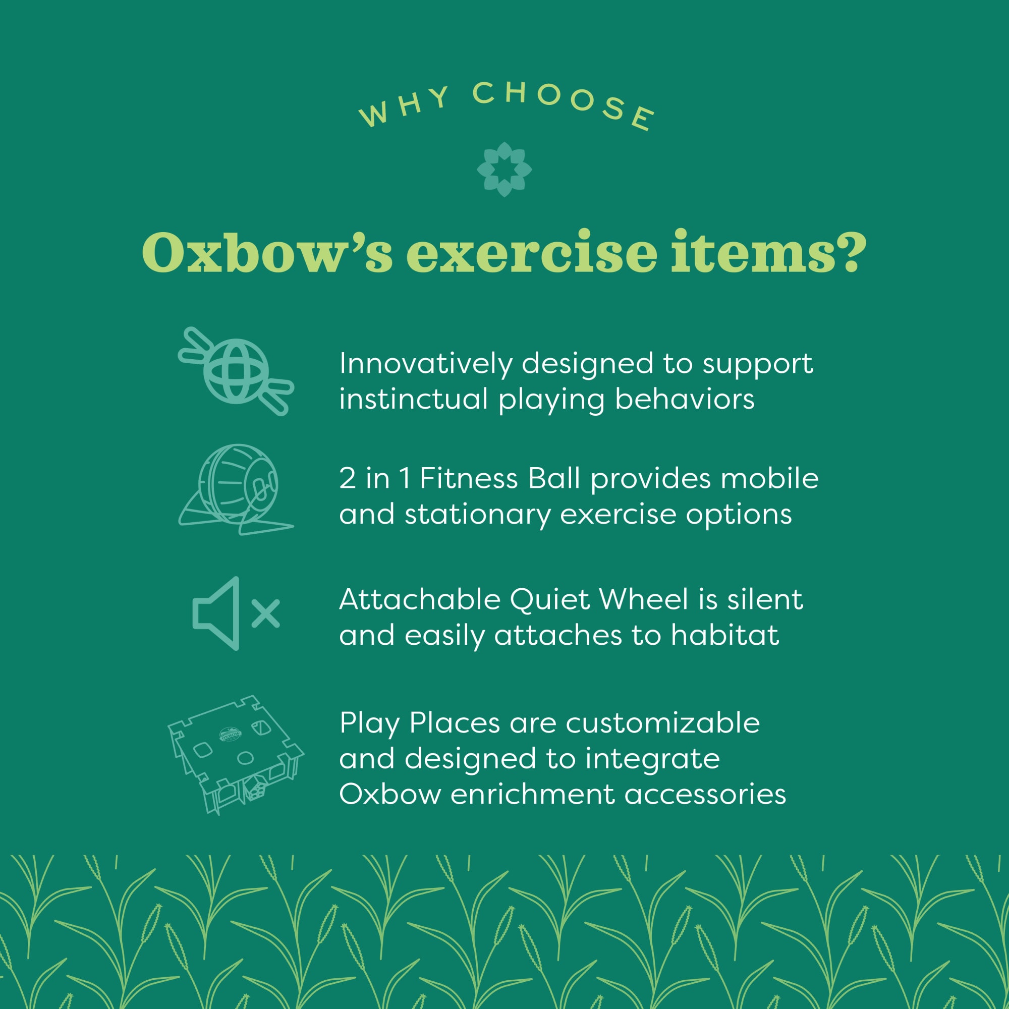 Oxbow 10" Enriched Life 2 in 1 Quiet Runner Toy, Medium